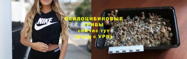дживик Алексин