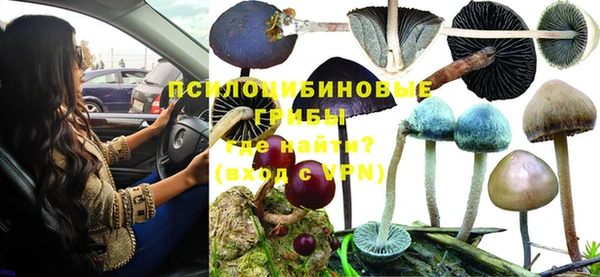 таблы Аркадак
